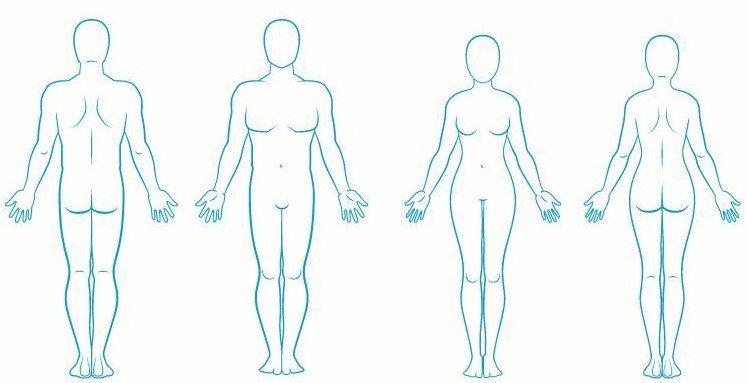 body